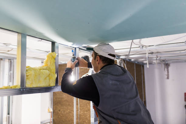 Best Energy Efficiency Insulation in Vilge St George, LA
